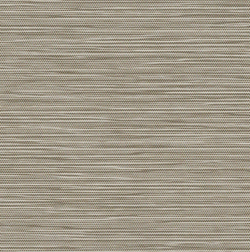 Tusk Blackout - Rolli Shades